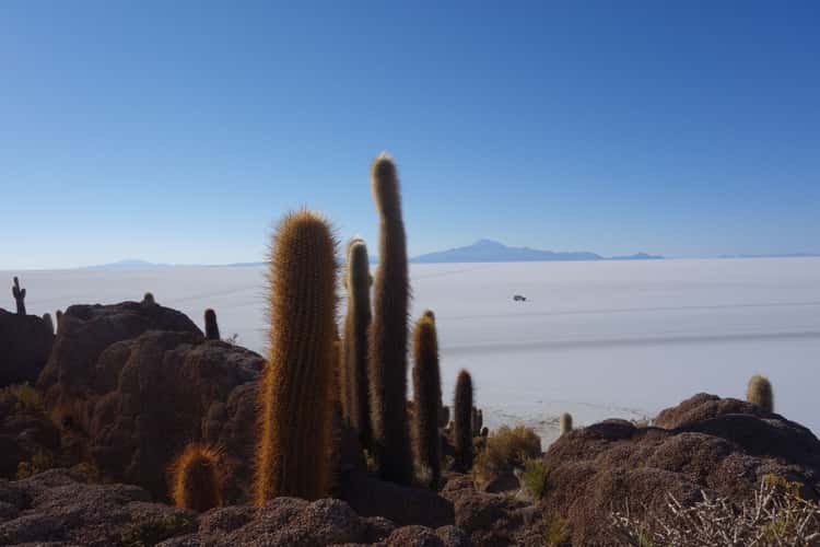 Isla Incahuasi