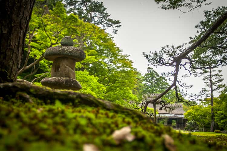 Japanese Garden Nara