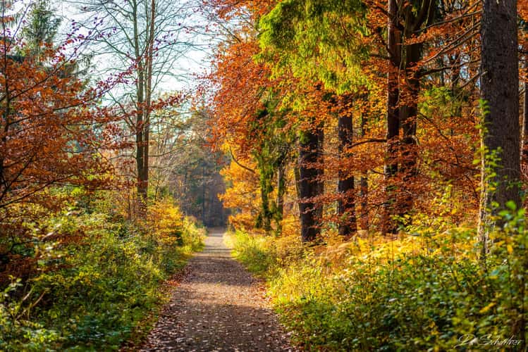 Kasbachtal