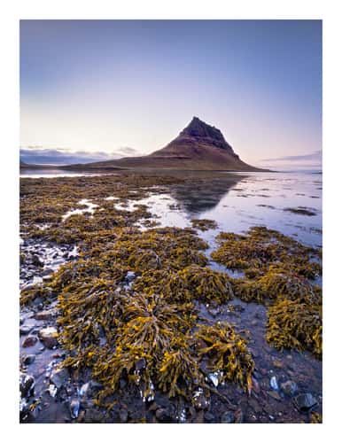 Kirkjufell Viewpoint - another view