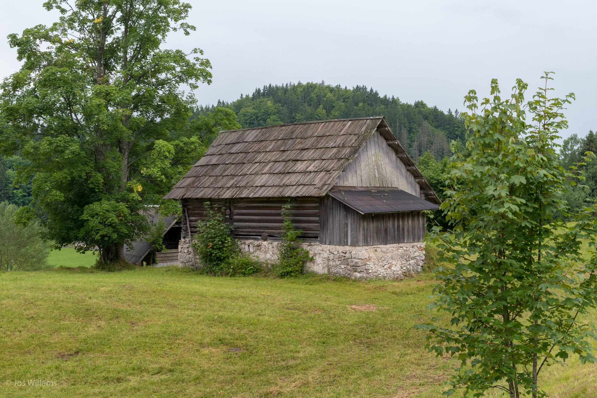 Koprivnik v Bohinju at the Pokljuka Plateau, Slovenia