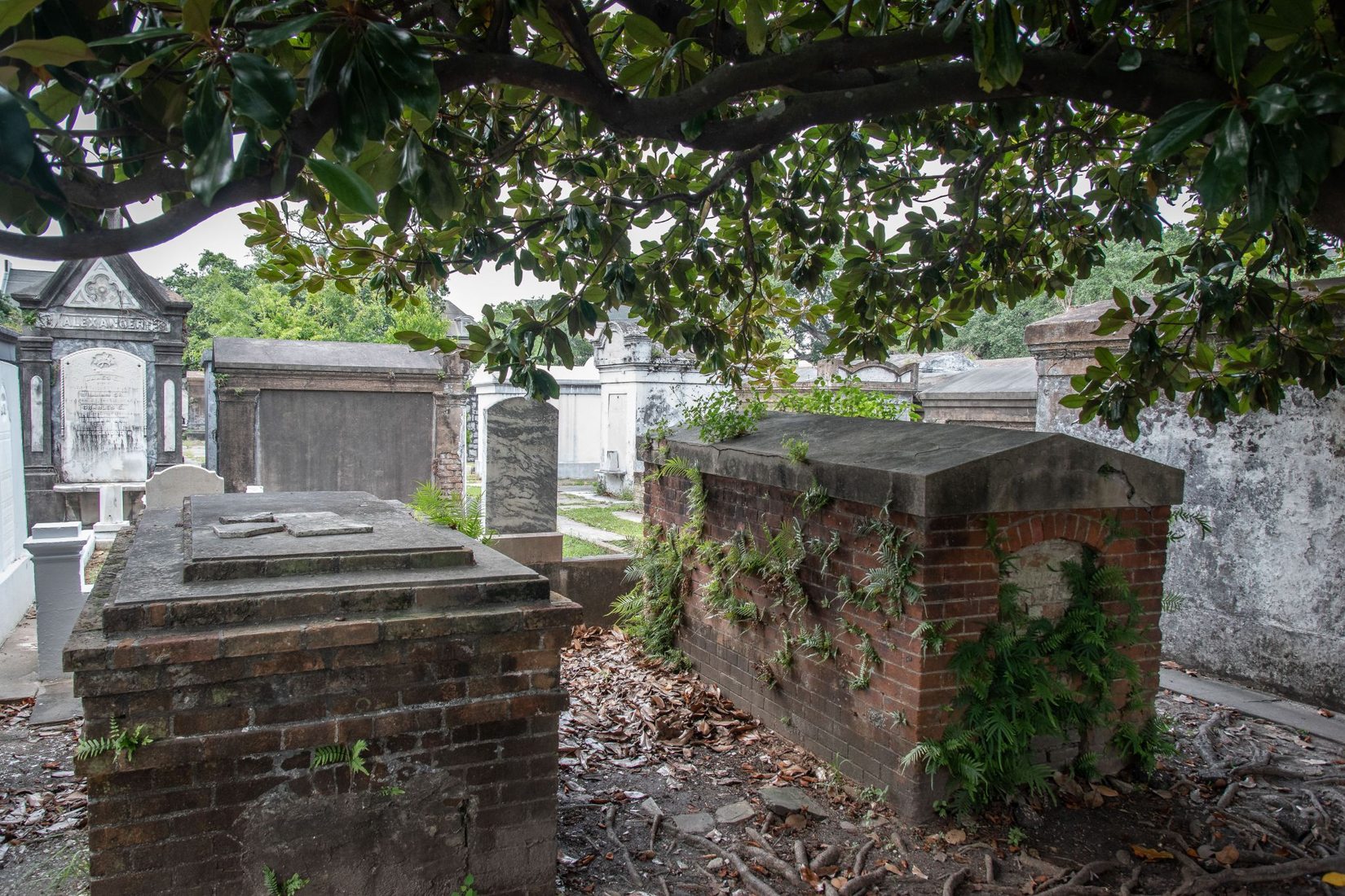 Lafayette Cemetery No. 1, Usa