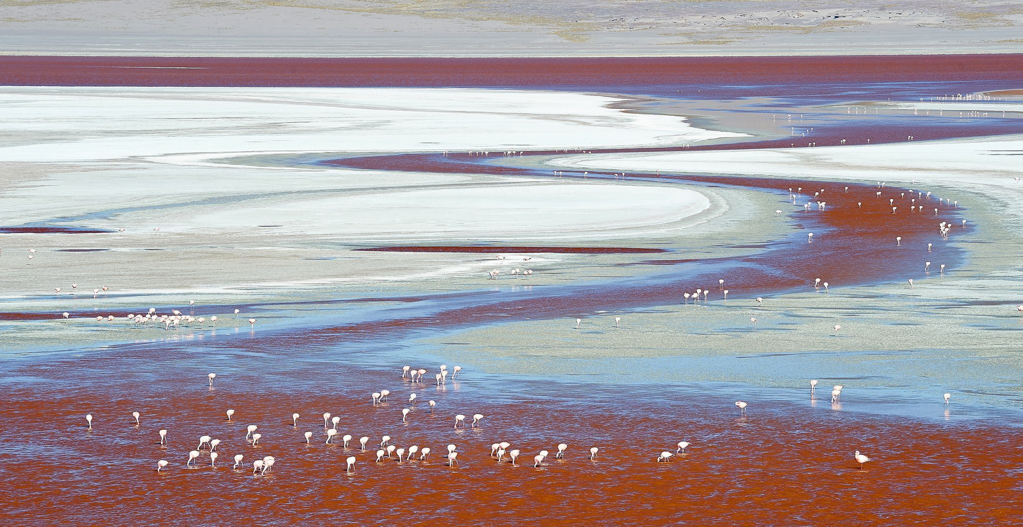 Laguna Colorada, Bolivia