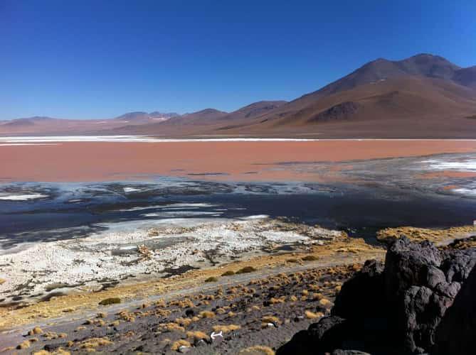 Laguna Colorada