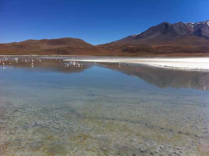 Laguna Hedionda
