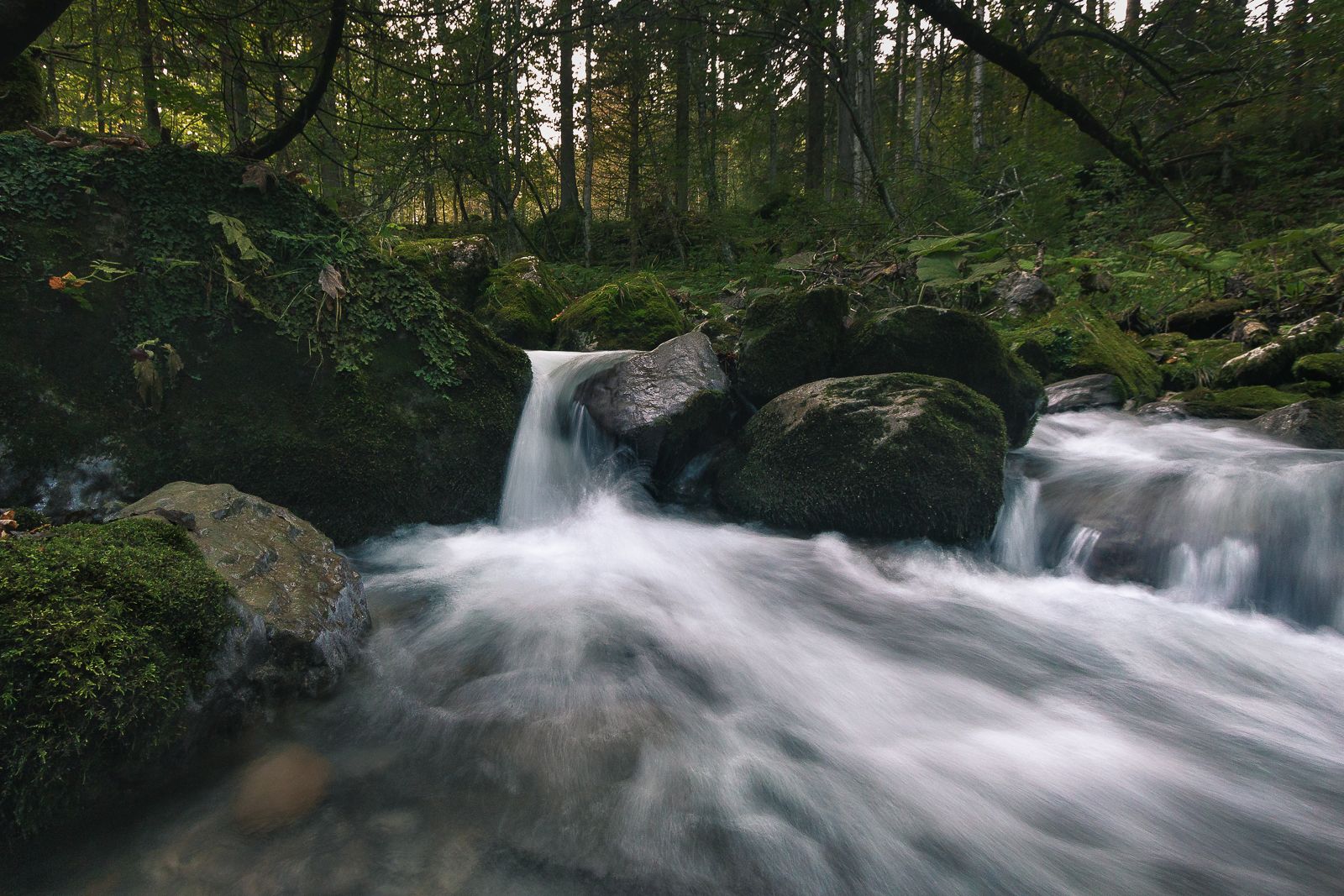 Leuenfall Waterfall, Switzerland, Switzerland