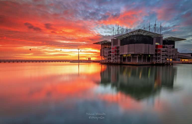 Oceanarium, Lisbon