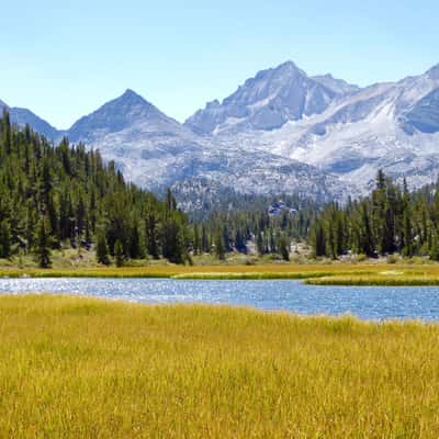 Little Lakes Valley, Eastern Sierra Nevada (CA), USA