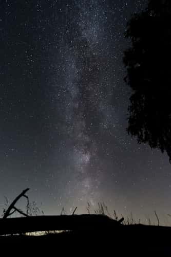 Location for Milkyway in Niedersachsen