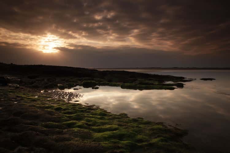 Malahide Estuary