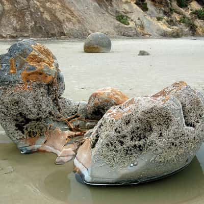 Moeraki  Boulders, New Zealand