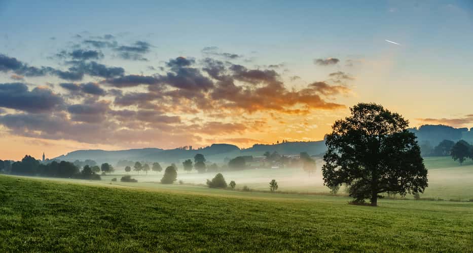 Nebel