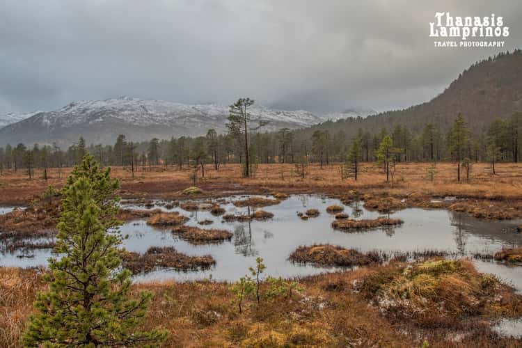 Norwegian Wild / Camp Tranøybotn