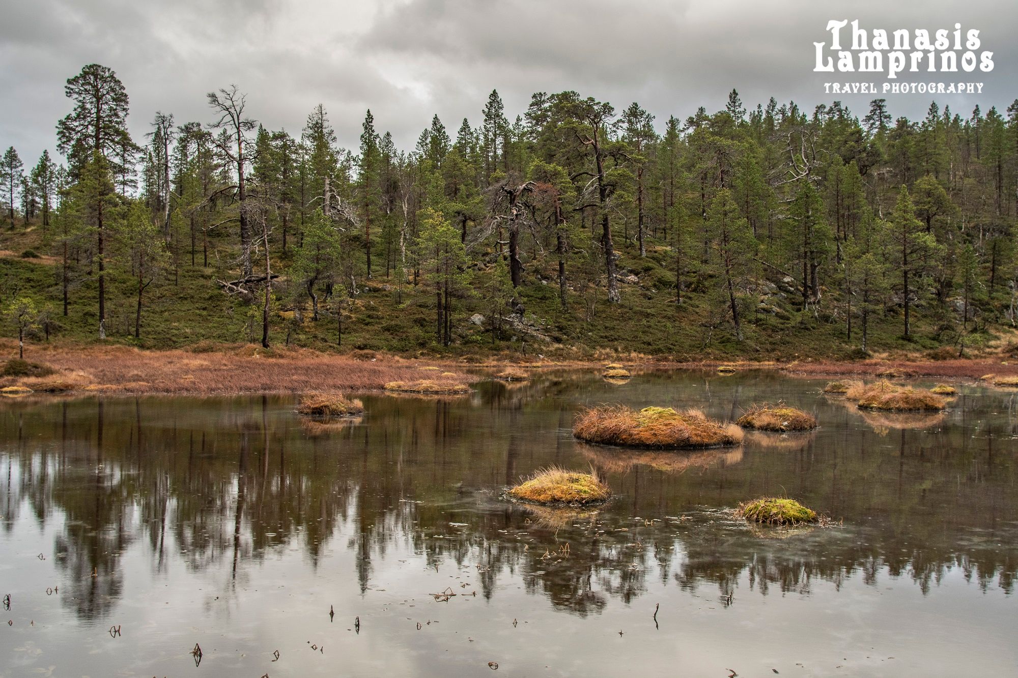 Norwegian Wild / Camp Tranøybotn, Norway