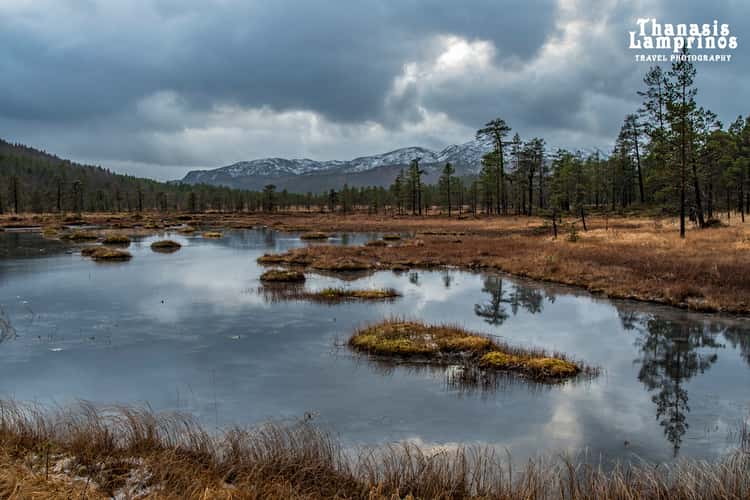 Norwegian Wild / Camp Tranøybotn