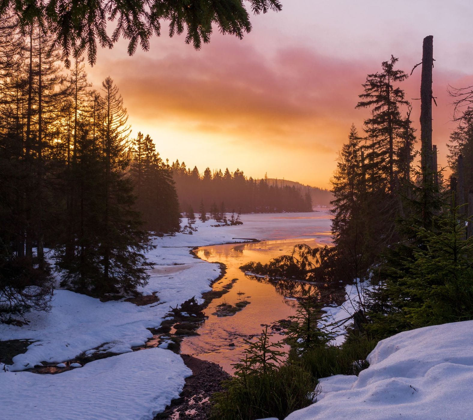Oderteich, Harz, Germany