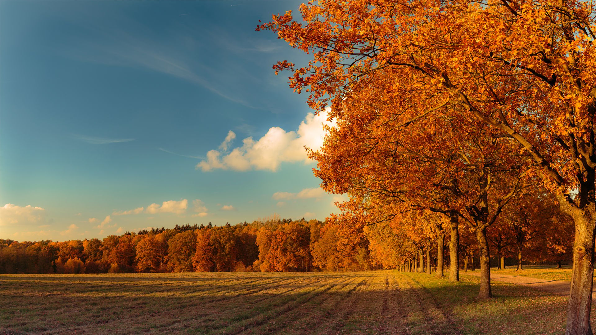 Oerbke, Germany