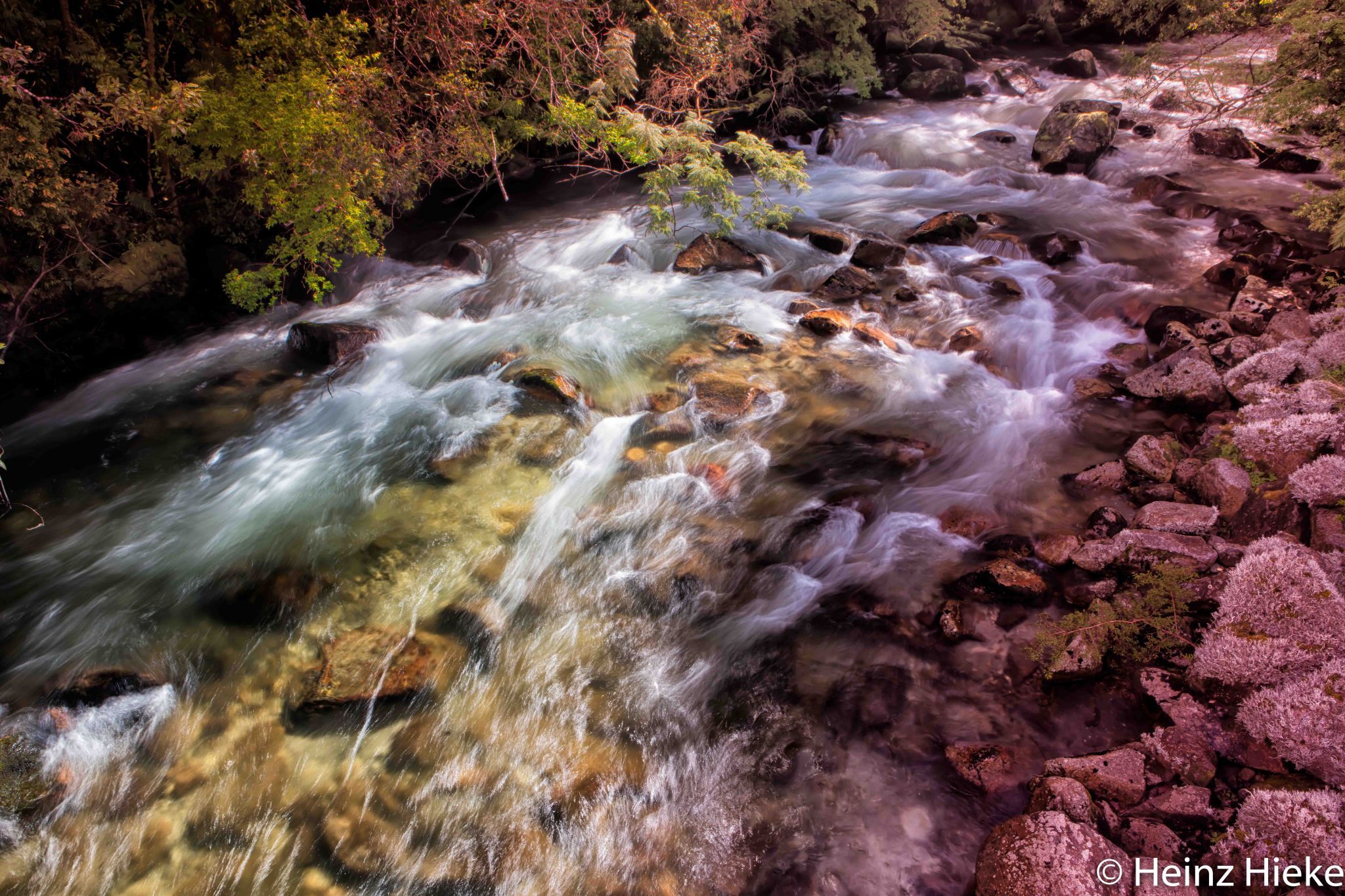 Pumallin Sur Park, Chile