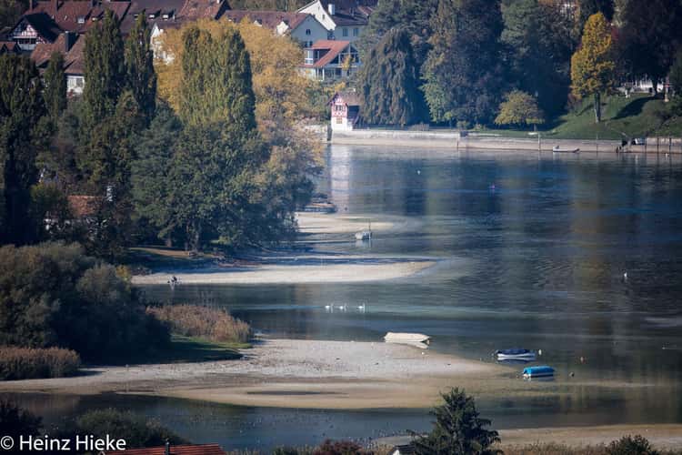 Rhein