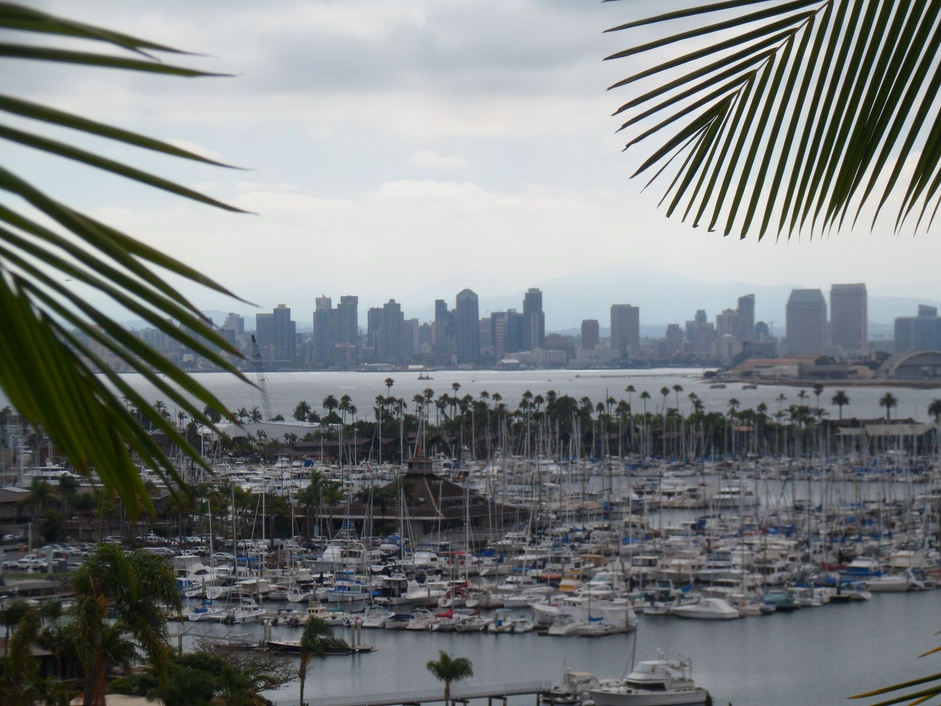 San Diego view, from Armada Terrace Drive, USA