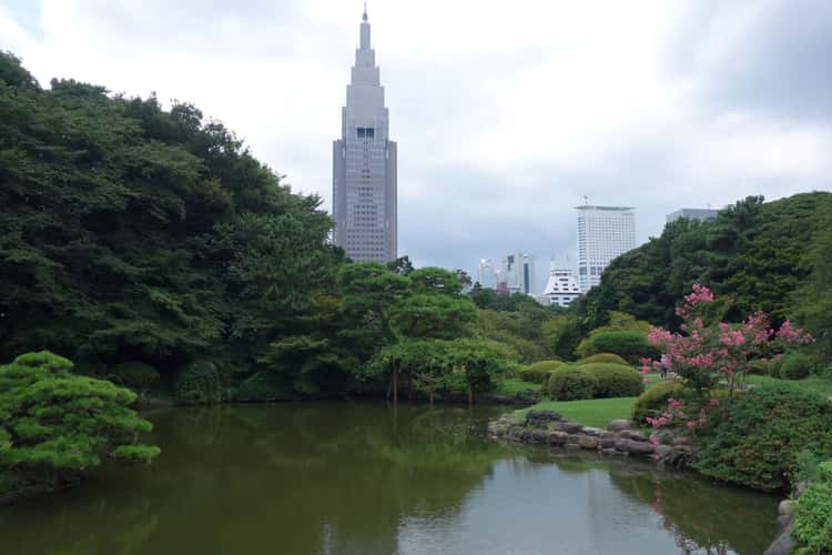 Shinjuku Gyoen Garden