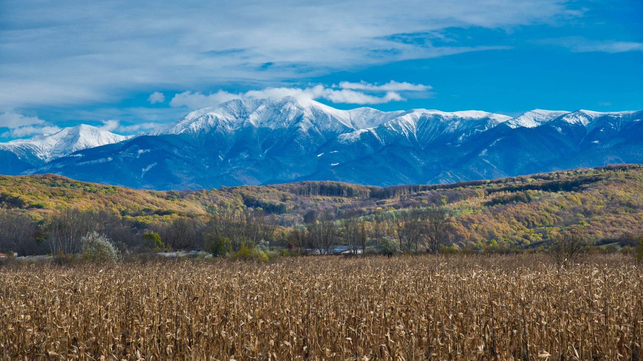 Snow caps, Romania