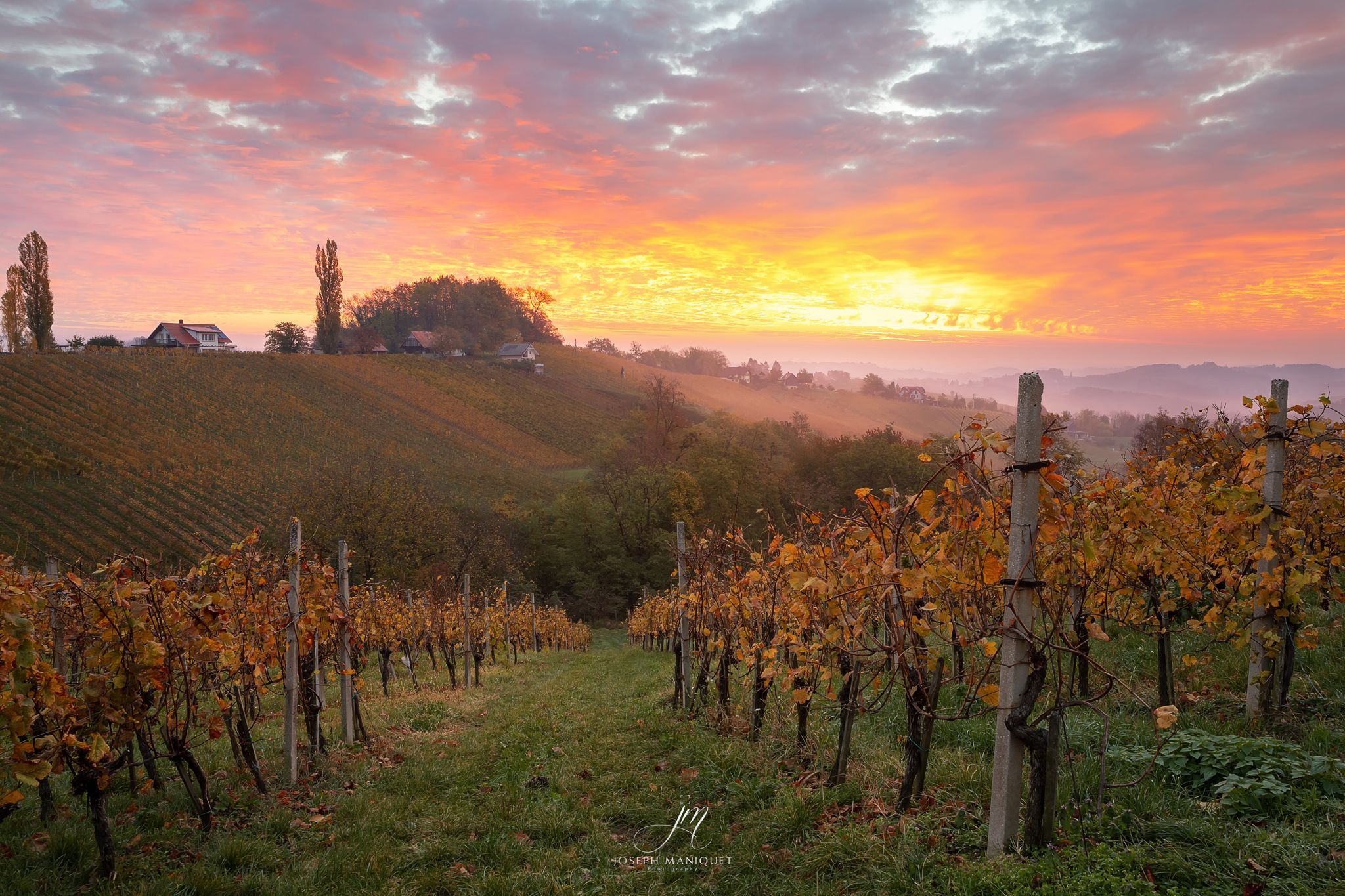 spicnik, Slovenia