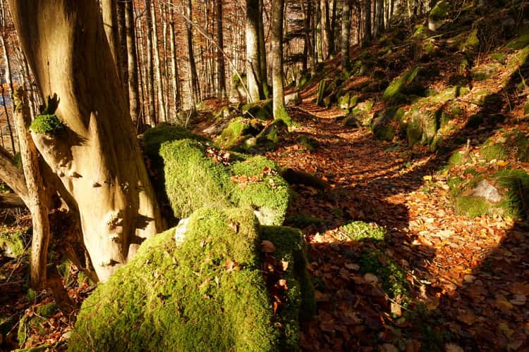 St Wilhelm Hike