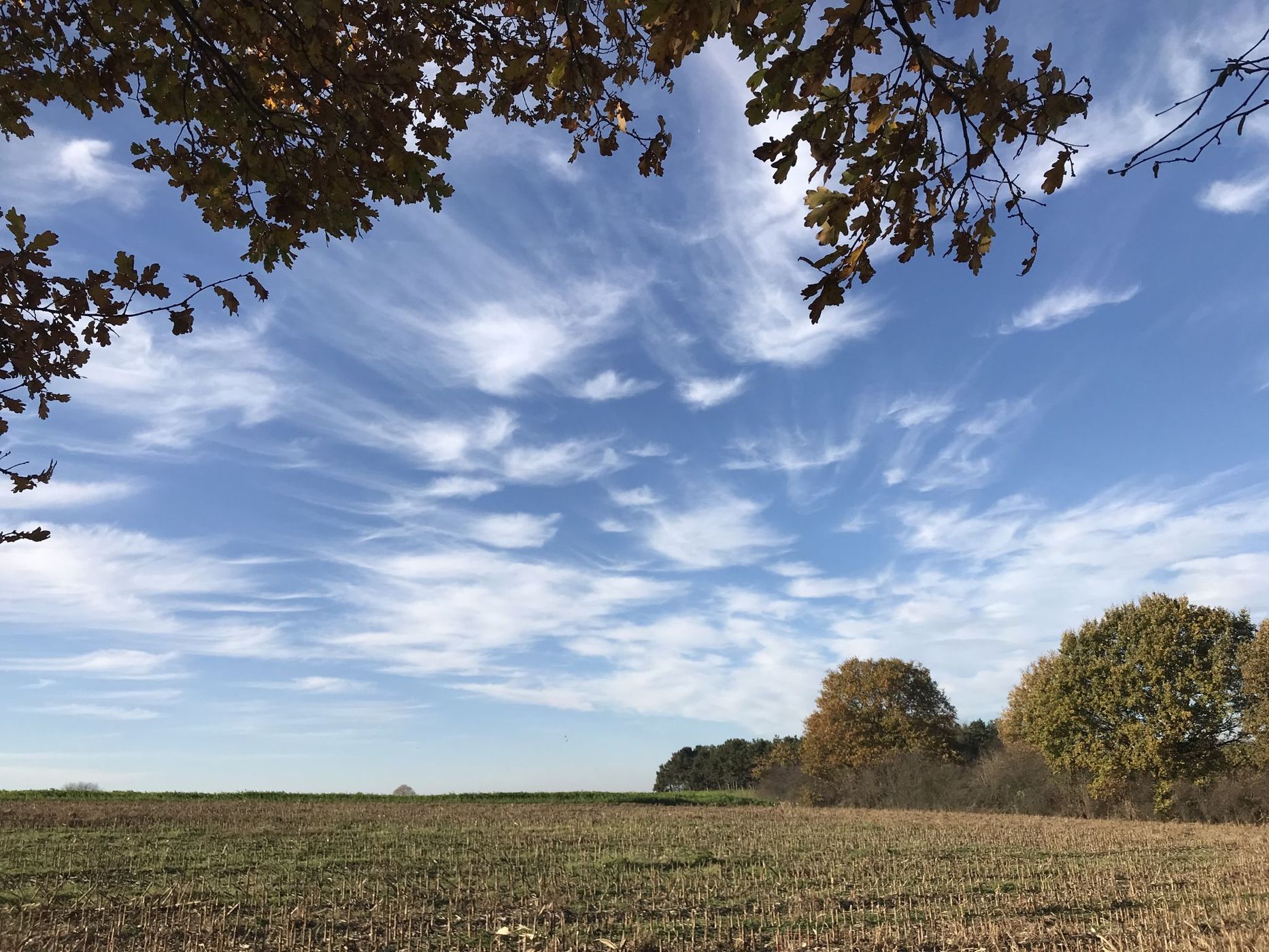 Tielt-Winge, Belgium