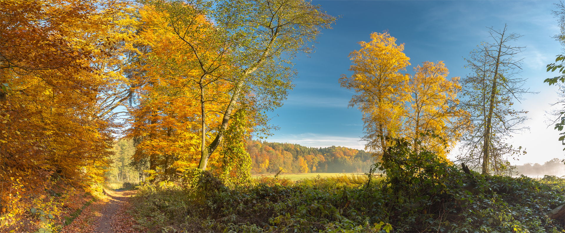 Untergrünhagen, Germany