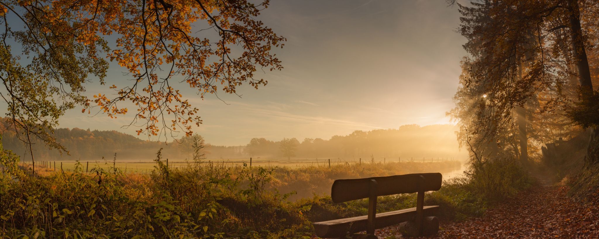 Untergrünhagen Liethwald, Germany