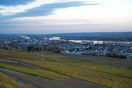View to Rhein valley from Johannisberg Castle