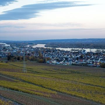 View to Rhein valley from Johannisberg Castle, Germany