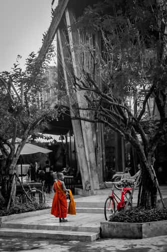 Young monk admiring the new bike Siem Reap