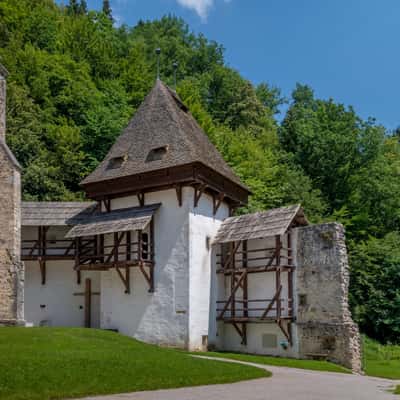 Carthusian monastery at Zice, Slovenia