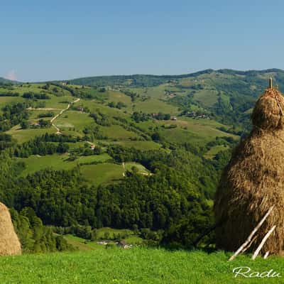 Zona Holbav - on the hills, Romania