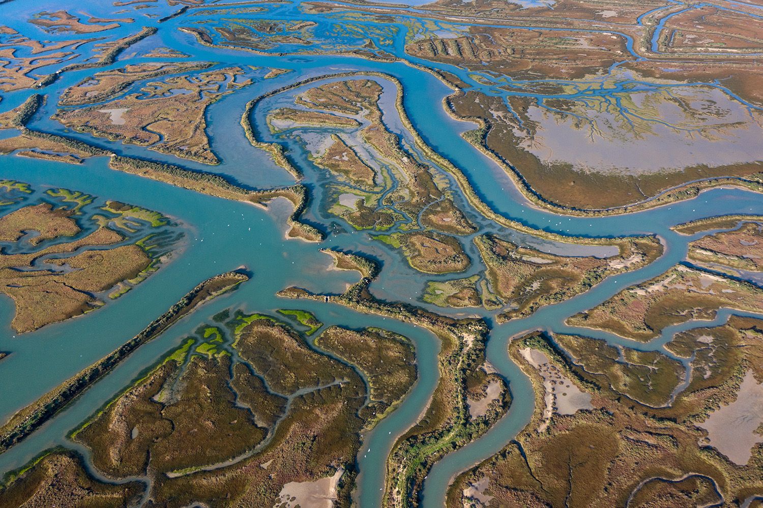 Bahia de Cadiz, Spain