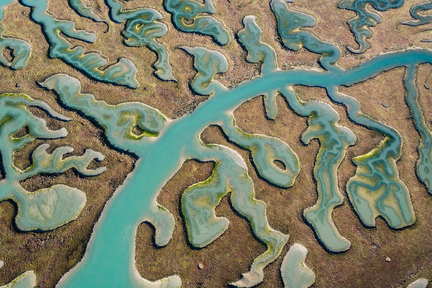 Bahia de Cadiz, Spain