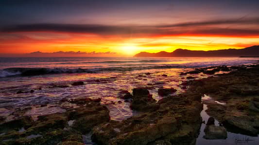 Beach near Son Serra de Marina