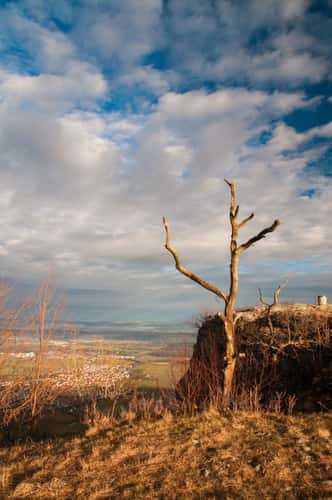 Breitenstein