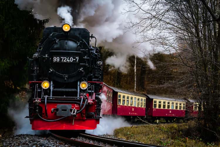 Harz narrow gauge railroad in the Thumkuhlental