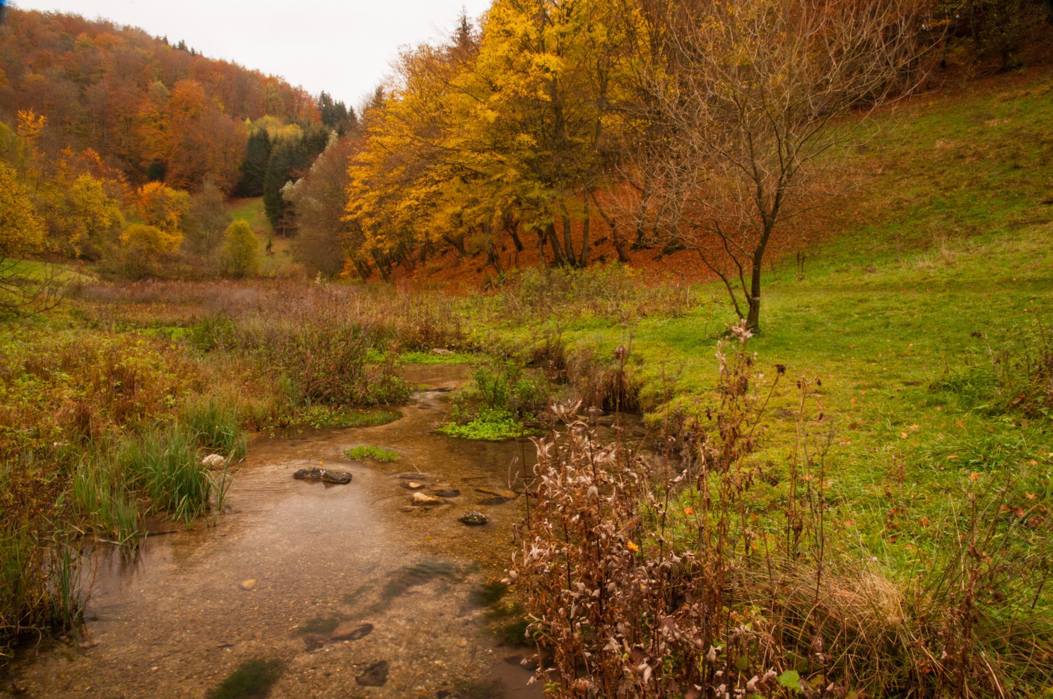 Filsursprung, Germany