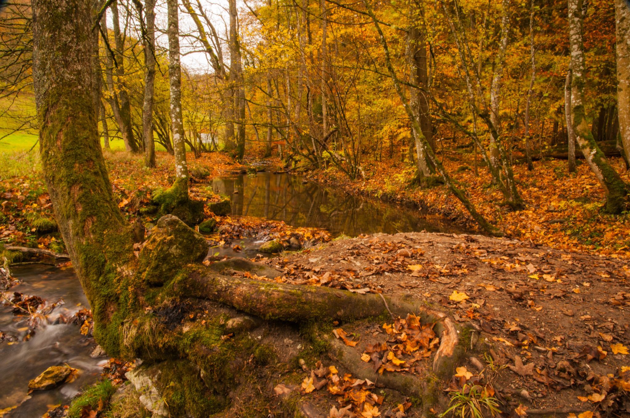 Filsursprung, Germany