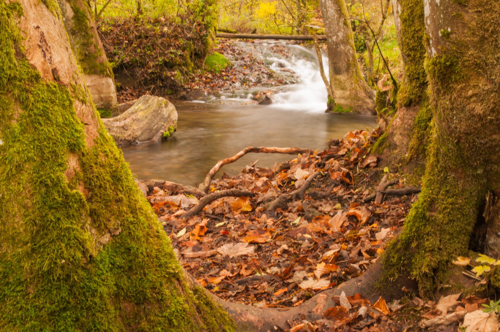 Filsursprung, Germany
