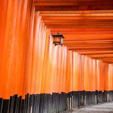 Fushimi Inari Shrine Kyoto, Japan