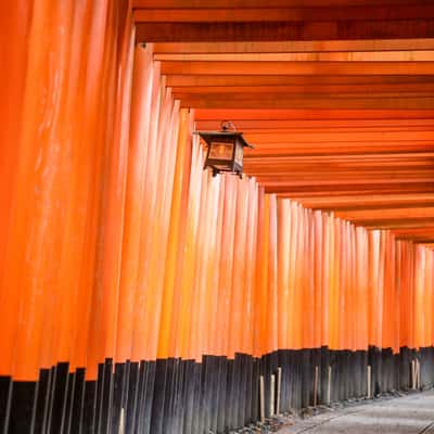 Fushimi Inari Shrine Kyoto, Japan