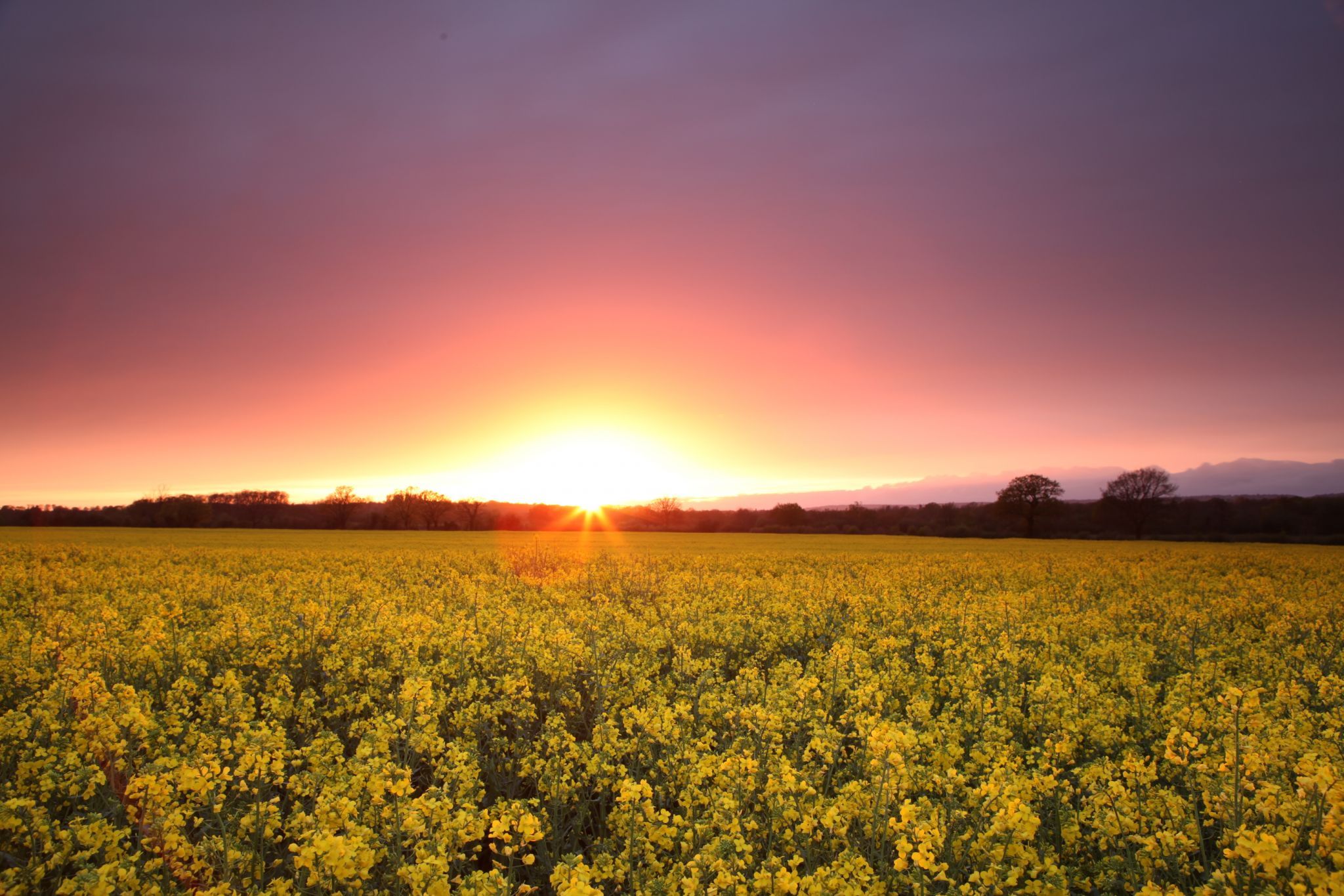 Kent Fields, United Kingdom