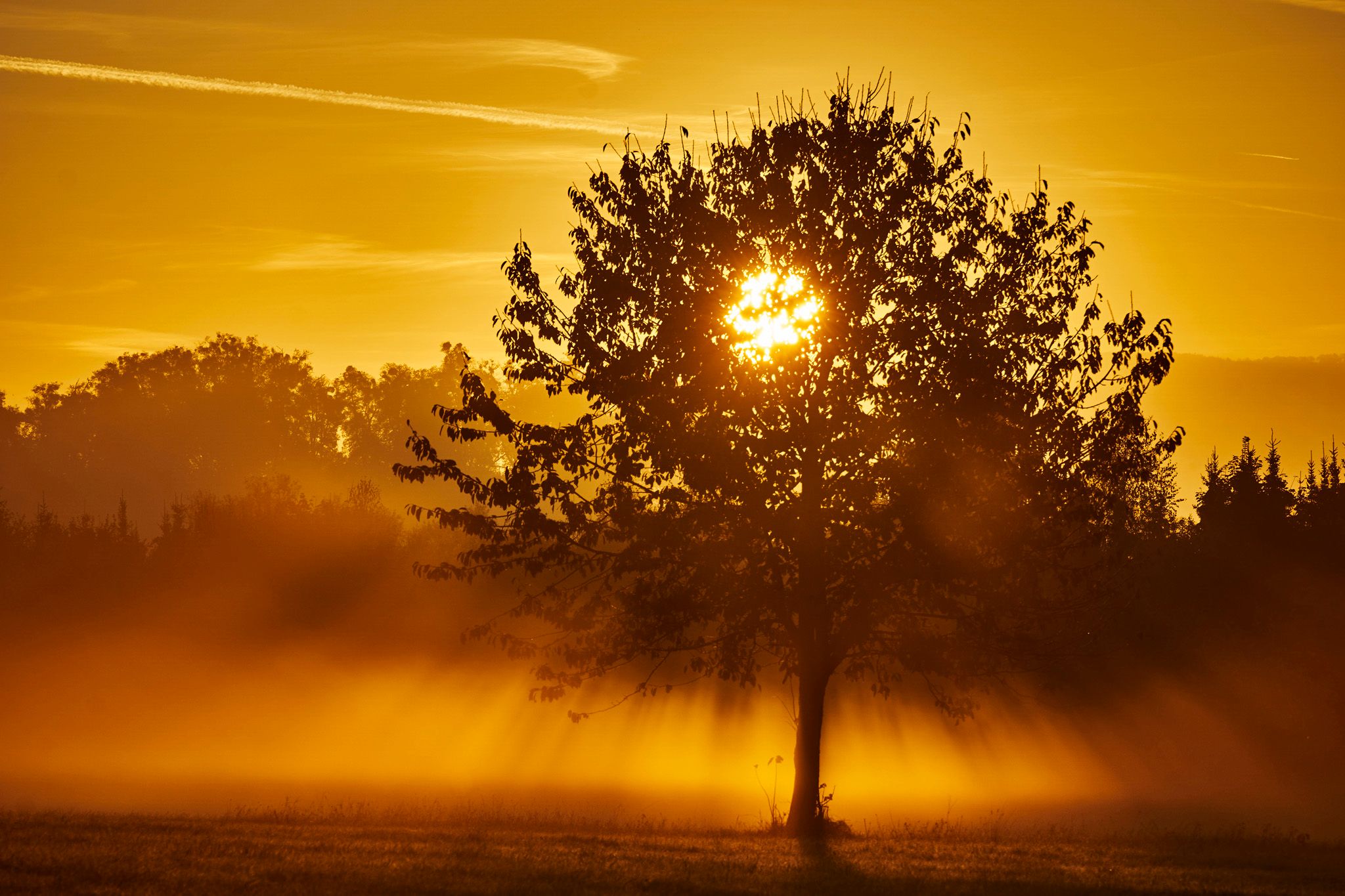 Kirchheimer Seenplatte, Germany