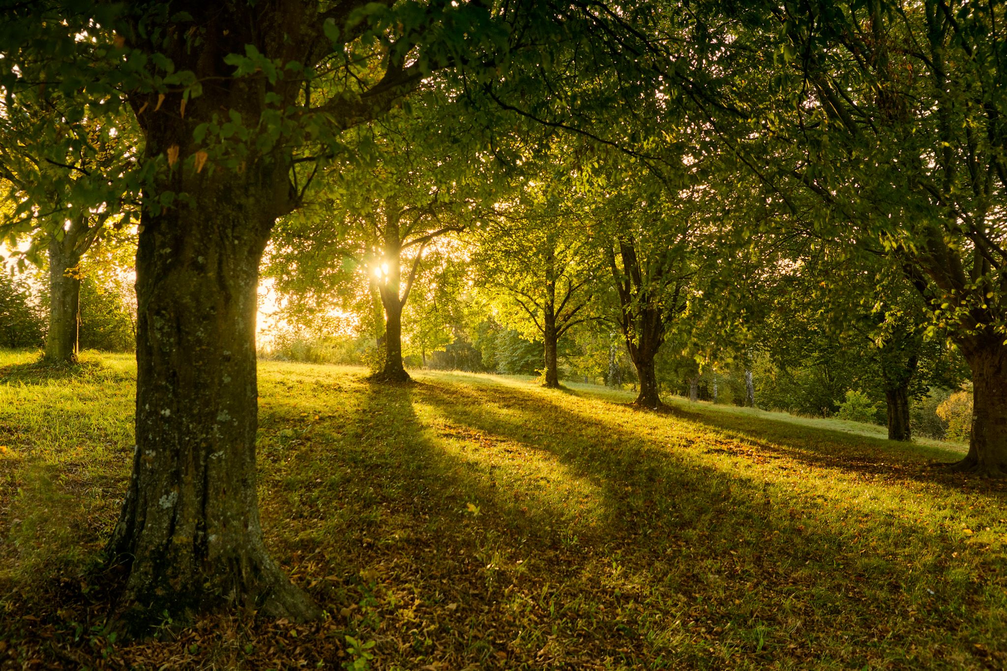 Kirchheimer Seenplatte, Germany