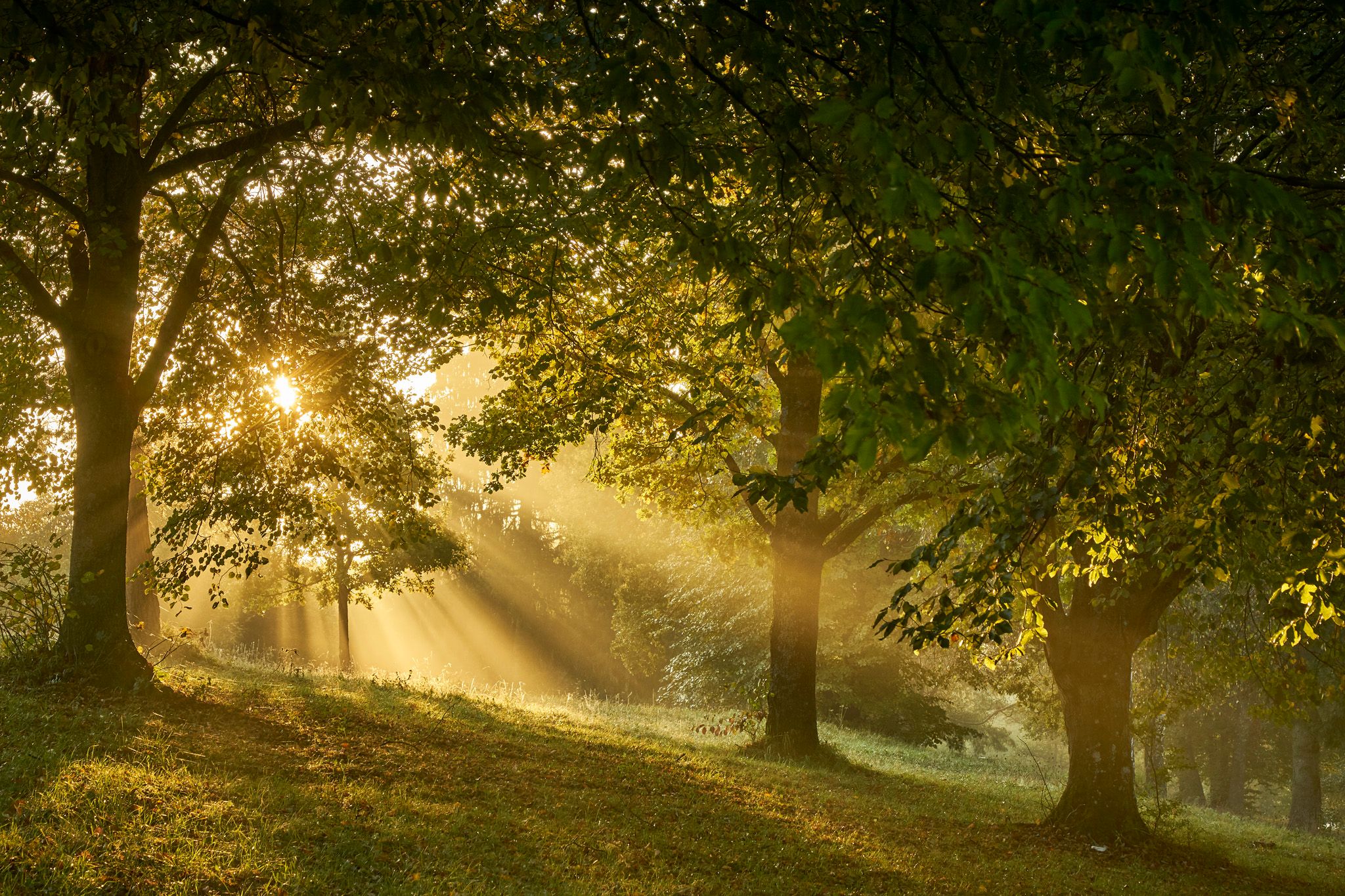 Kirchheimer Seenplatte, Germany